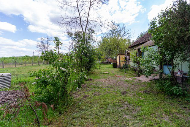 Eladó családi ház, Kiskunfélegyházán 6 M Ft, 2 szobás