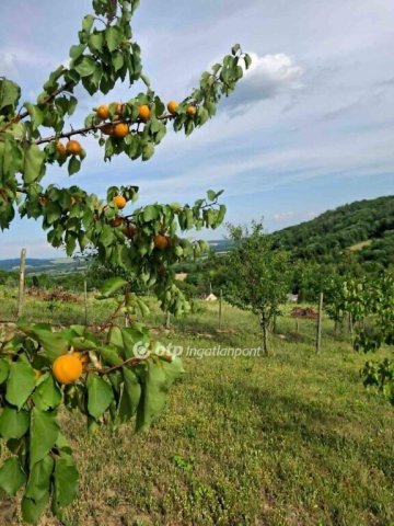 Eladó nyaraló, Zalaszentgróton 53 M Ft, 2 szobás