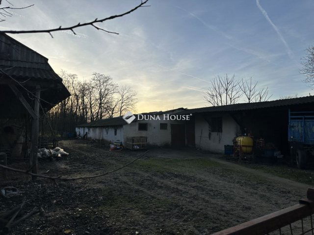 Eladó családi ház, Dabason 59 M Ft, 1 szobás