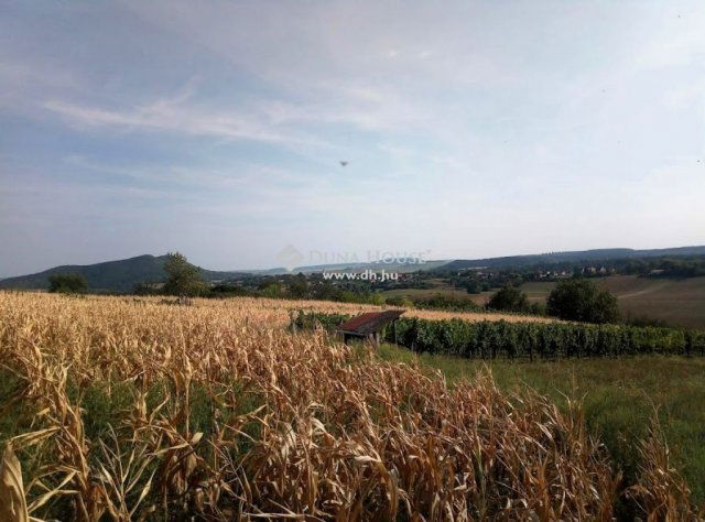 Eladó telek, Bajnán 2.99 M Ft / költözzbe.hu