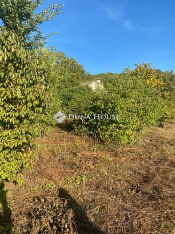 Eladó telek, Esztergomban 10 M Ft / költözzbe.hu