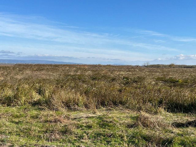 Eladó mezogazdasagi ingatlan, Sármelléken 99 M Ft