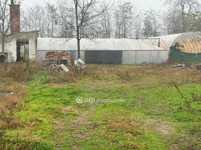 Eladó telek, Biharkeresztesen 10 M Ft / költözzbe.hu