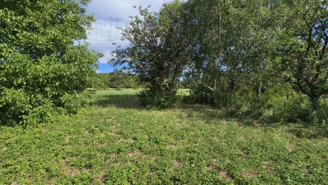 Eladó mezogazdasagi ingatlan, Balatonberényben 5.5 M Ft