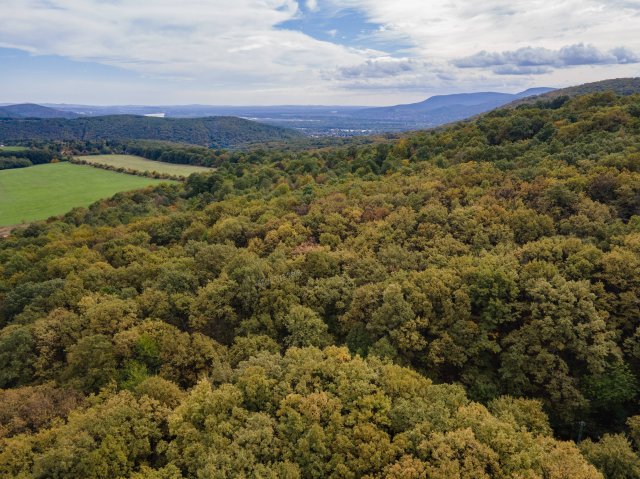 Eladó telek, Kismaroson, Kakukkfű utcában 3.9 M Ft