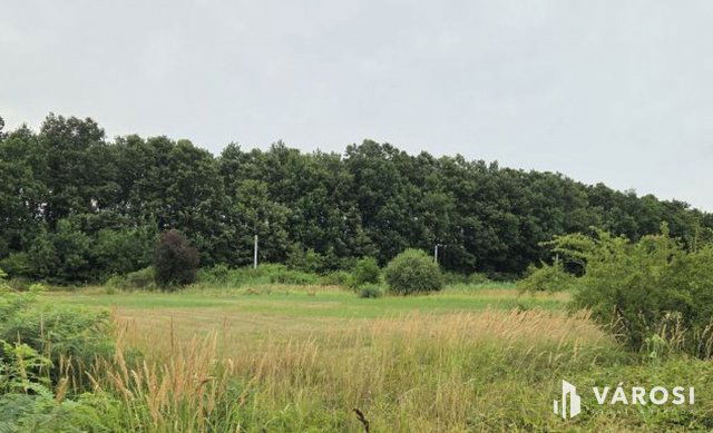 Eladó telek, Abádszalókban 4.9 M Ft / költözzbe.hu