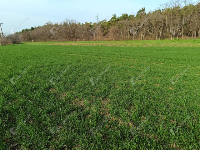 Eladó telek, Sopronban 22 M Ft / költözzbe.hu