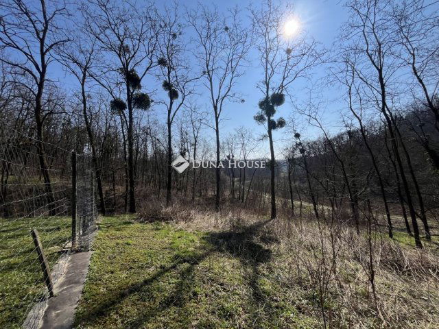 Eladó telek, Bocföldén 1 M Ft / költözzbe.hu
