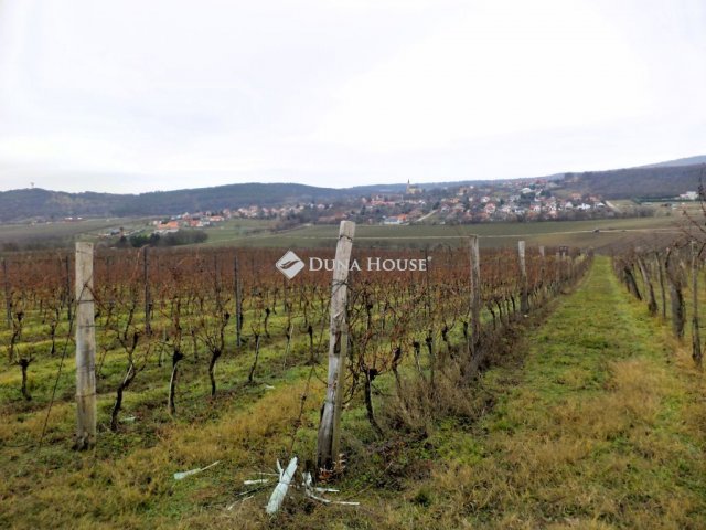 Eladó mezogazdasagi ingatlan, Nadapon 15 M Ft