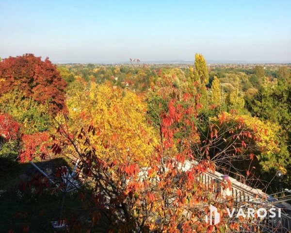 Eladó családi ház, Szentendrén 360 M Ft, 6+1 szobás