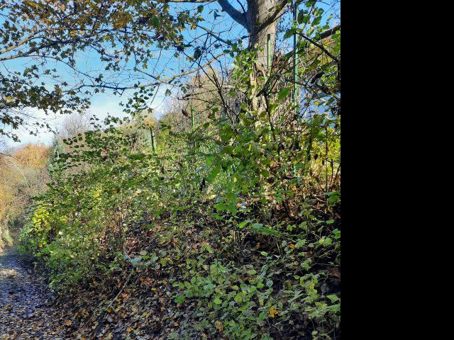 Eladó telek, Visegrádon, Csukavölgy utcában 22 M Ft