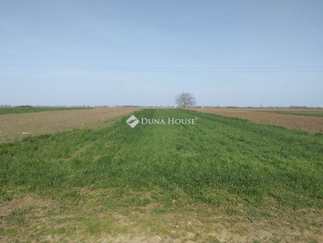 Eladó telek, Polgárdin 10.8 M Ft / költözzbe.hu