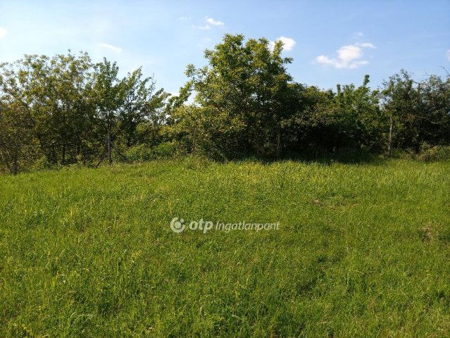 Eladó telek, Gyönkön 7.5 M Ft / költözzbe.hu