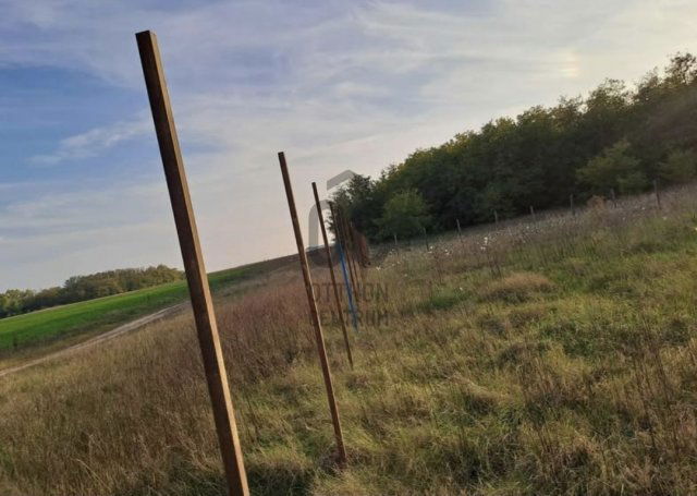 Eladó mezogazdasagi ingatlan, XVII. kerületben, Orgoványiszőlő dűlőn