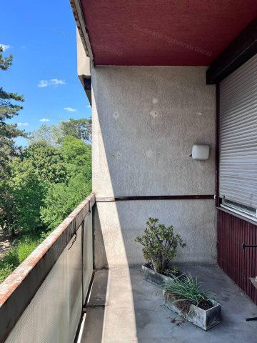 Eladó panellakás, Gödöllőn 50 M Ft, 2 szobás
