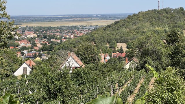 Eladó családi ház, Szekszárdon 15 M Ft, 2 szobás