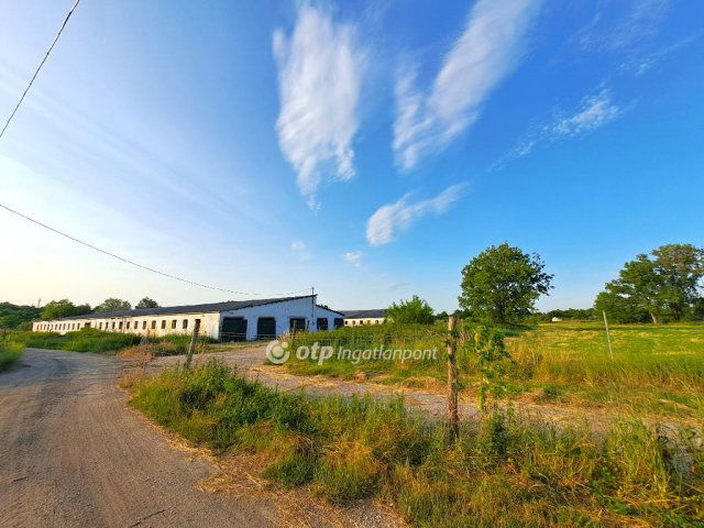 Eladó mezogazdasagi ingatlan, Solton 149.99 M Ft