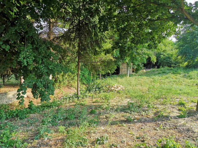 Eladó telek, Bakonyszentlászlón 6.5 M Ft / költözzbe.hu