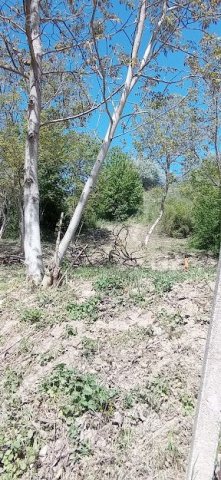 Eladó mezogazdasagi ingatlan, Tatabányán 7.499 M Ft