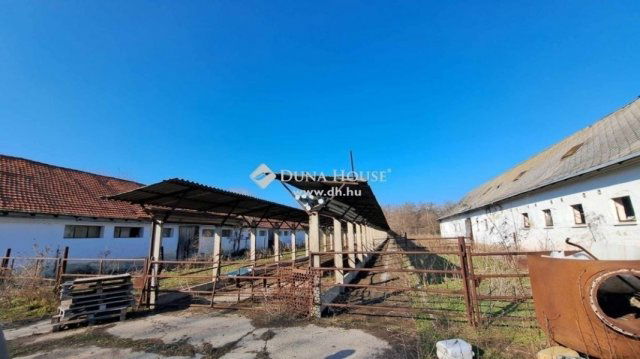 Eladó mezogazdasagi ingatlan, Hódmezővásárhelyen 59.9 M Ft