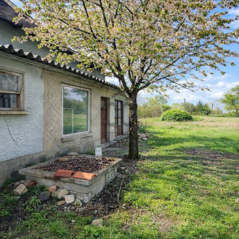 Eladó családi ház, Nagykőrösön 25 M Ft, 3 szobás