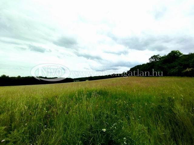 Eladó mezogazdasagi ingatlan, Hárskúton 30 M Ft