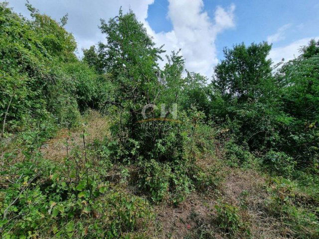 Eladó telek, Pécsett 2.5 M Ft / költözzbe.hu