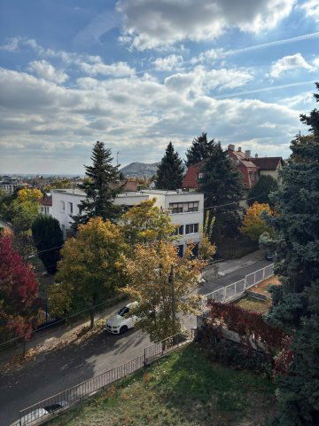 Kiadó téglalakás, albérlet, XII. kerületben, Székács utcában