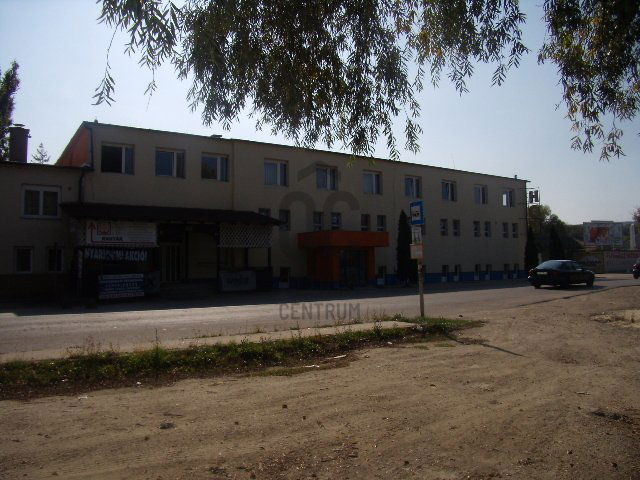 Kiadó telek, Solymáron 1000 E Ft / hó / költözzbe.hu