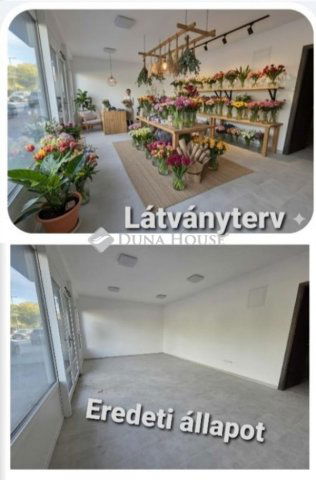 Eladó üzlethelyiség, Szegeden 45.9 M Ft, 1 szobás