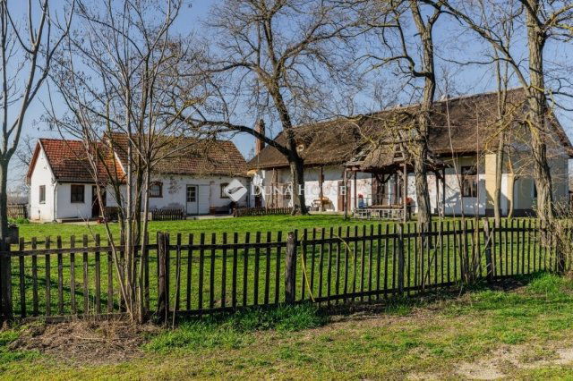 Eladó mezogazdasagi ingatlan, Délegyházán 139 M Ft