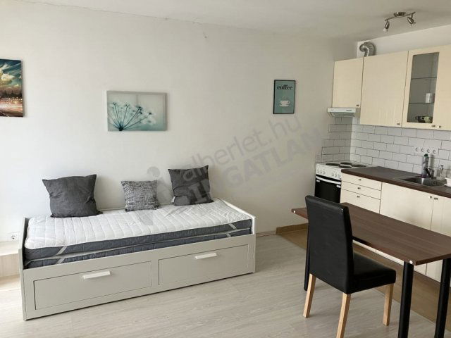 Kiadó téglalakás, albérlet, IX. kerületben, Márton utcában