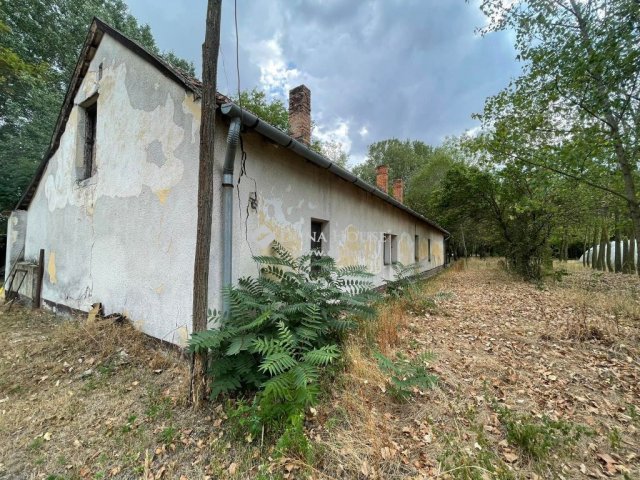 Eladó mezogazdasagi ingatlan, Jászszentlászlón 42 M Ft, 5 szobás