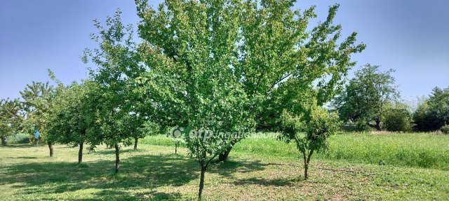 Eladó családi ház, Szilen 37 M Ft, 3 szobás