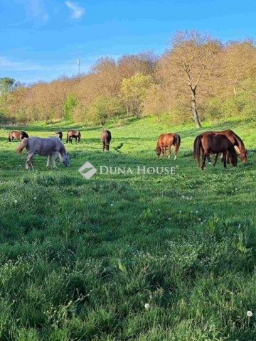 Eladó mezogazdasagi ingatlan, Egerágon 159 M Ft, 5 szobás