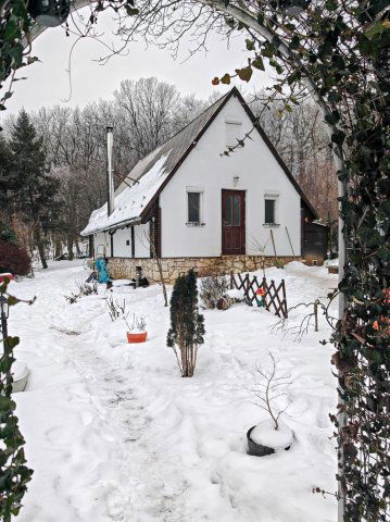 Eladó családi ház, Vértestolnán 38 M Ft, 3 szobás