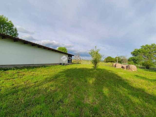 Eladó családi ház, Ludányhalászin 49 M Ft, 4 szobás