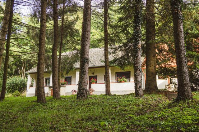Eladó családi ház, Bakonynánán 179 M Ft, 6 szobás
