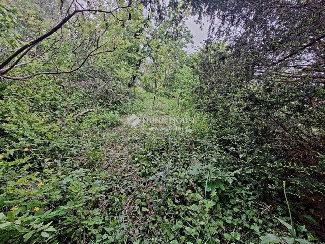 Eladó családi ház, Gödöllőn 59.9 M Ft, 3 szobás