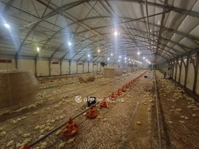 Eladó mezogazdasagi ingatlan, Csőszön 298 M Ft