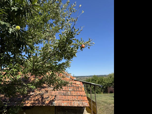 Eladó nyaraló, Zalaszentgróton 16.5 M Ft, 1+1 szobás