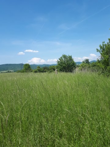 Eladó telek, Pomázon 10.7 M Ft / költözzbe.hu