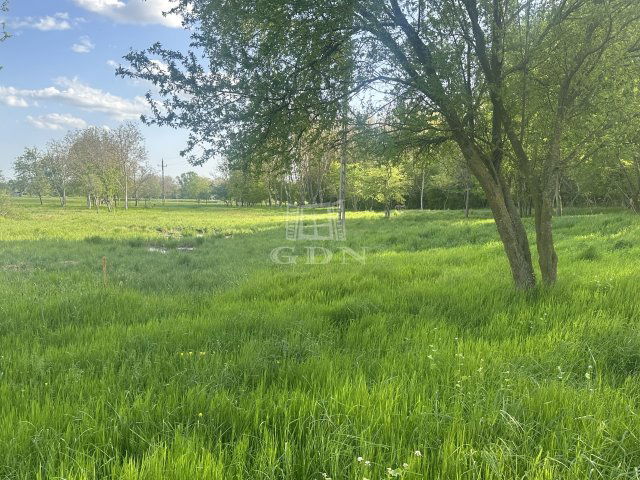 Eladó mezogazdasagi ingatlan, Balatongyörökön 29.9 M Ft
