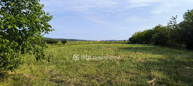 Eladó telek, Gyugyon 12.5 M Ft / költözzbe.hu