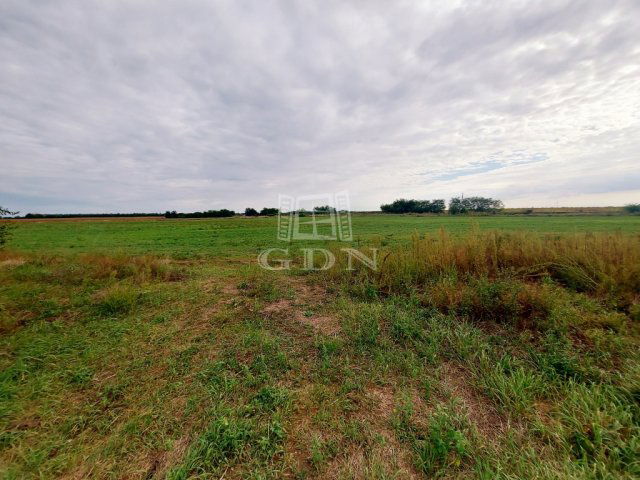 Eladó ipari ingatlan, Újlengyelen 1252.916 M Ft