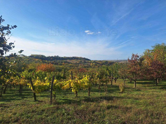 Eladó mezogazdasagi ingatlan, Tabon 1.3 M Ft / költözzbe.hu