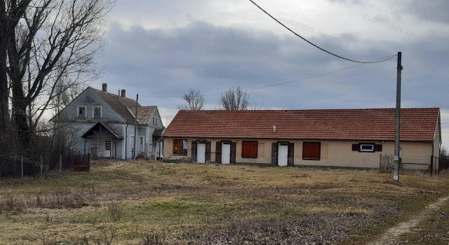 Eladó családi ház, Tarnaörsön 150 M Ft, 8 szobás