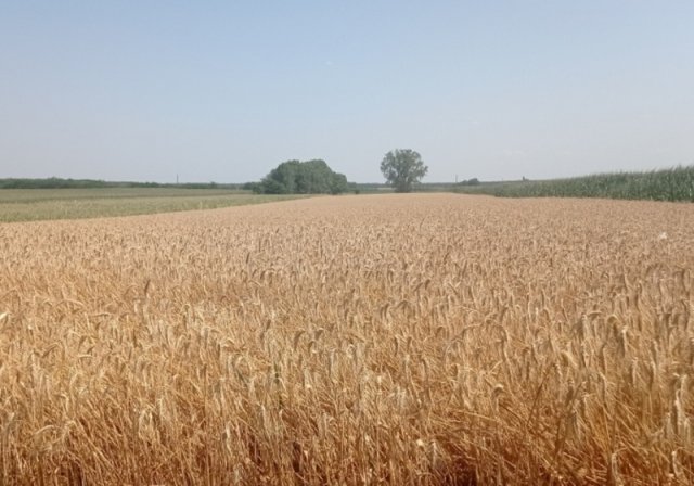 Eladó ipari ingatlan, Dabason 470 M Ft / költözzbe.hu