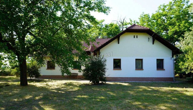 Eladó mezogazdasagi ingatlan, Balástyán 63 M Ft, 6 szobás