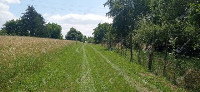 Eladó telek, Zalaegerszegen 6.5 M Ft / költözzbe.hu